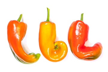 Three peppers isolated on a white background, ugly peppers closeup, concept of ugly vegetables, funny peppers, unusual shaped peppers, organic food