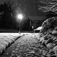 Snowy Night