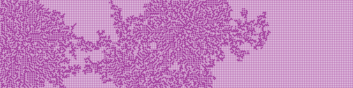 Albert-Laszlo Barabasi algorithm network visualization implementation illustration