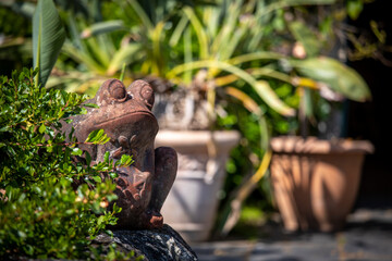 Obraz premium Pot et plante sur la terrasse d'un jardin.