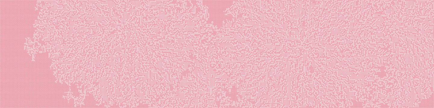 Albert-Laszlo Barabasi algorithm network visualization implementation illustration