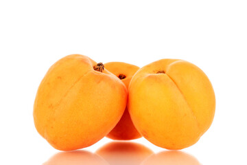 Three ripe sweet apricots, close-up, isolated on a white background.