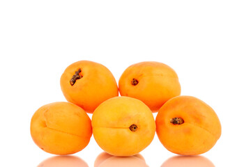 Several ripe sweet apricots, close-up, isolated on a white background.