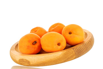 Several ripe sweet apricots with a wooden tray, close-up, isolated on a white background.