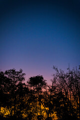 Pôr do sol com árvores ao fundo e tonalidades de laranja, roxo e azul. 