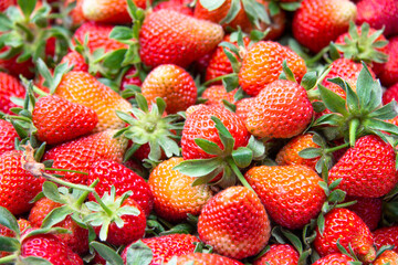 strawberries in a market