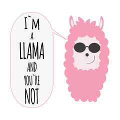 Lama on a white isolated background. Cool lama. I``m a llama and youre not. Vector illustration. Lama.