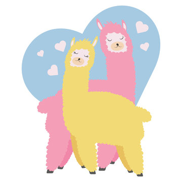 Two llamas in love. Llamas on a white isolated background. Vector illustration. Lama.