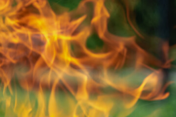 Fototapeta premium fire flames background