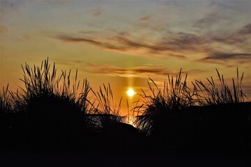 sunset over the field