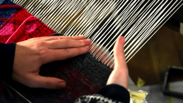 Weaving. Woman hands weave a line of yarn threads on a loom for clothes at a textile factory. Textile machine with multicolored threads. Fabric production line