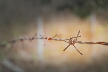 Rusty metal fence with sharp thorns on empty ground
