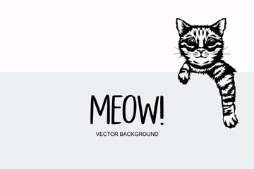 Vector Monochrome Hand Drawm Black, White Hiding Peeking Kitten. Kitten Head with Paws Up Peeking Over Blank White Placard, Poster, Card, Banner. Pet Kitten Curiously Peeking Behind White Background