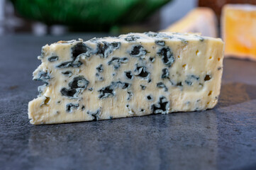 Piece of French blue cheese made from sheep milk