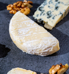Creamy crottin goat cheese from France, french soft cheeses collection