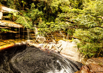 waterfall in the forest