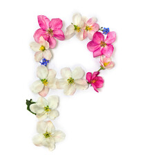 Letter P of flowers apple tree and blue wildflowers forget-me-nots on white background. Top view, flat lay