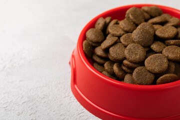 Dry dog food in a red bowl on a cement background. Vitamins and nutrients for good health and energy of pets.Copy space.