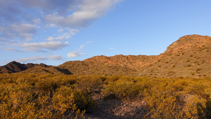 landscape, mountains in the background. Desert climate. Andes mountain range