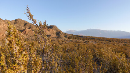 landscape, mountains in the background. Desert climate. Andes mountain range