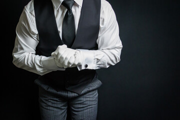 Portrait of Butler or Waiter in White Gloves Eager to Be of Service. Concept of Service Industry and Professional Courtesy.