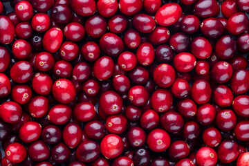 Cranberry bio background, food background.
