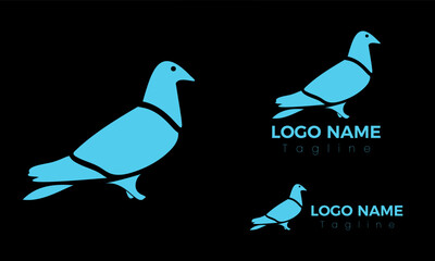 Pigeon bird logo design vector template