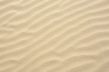 Sand ripples created by the wind in the fine beach sand by the sea