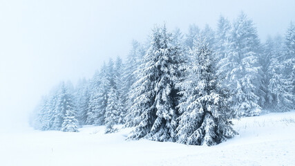 Fototapeta premium Mountain Landscape