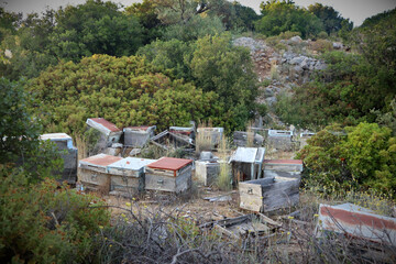 Fototapeta na wymiar A bee graveyard - The abandoned hives of a Turkish beekeeper on the Aegean coast. Decaying wood is slowly rotting away and has not been producing honey for a long time 