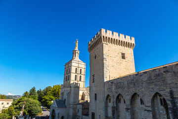 Fototapeta na wymiar Cathedral and Papal palace in Avignon