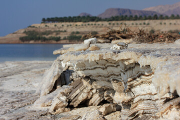 Close up of white crystal salt formation on at the Dead sea coastline, Jordan