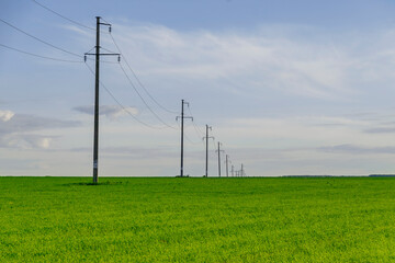Fototapeta na wymiar The power line goes over the horizon on a green field.