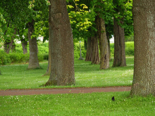 Eckernförde an der ostsee