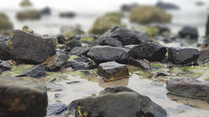 stones on the beach