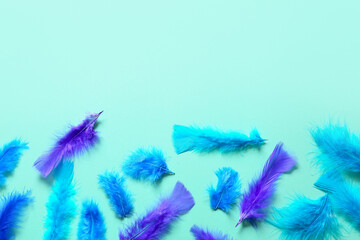Beautiful blue feathers on color background