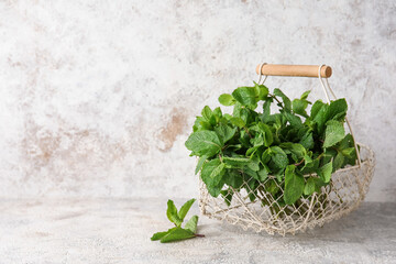Basket with mint leaves on light background