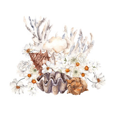 Watercolor sea composition with shell, coral, white flowers and green leaves, isolated on white background
