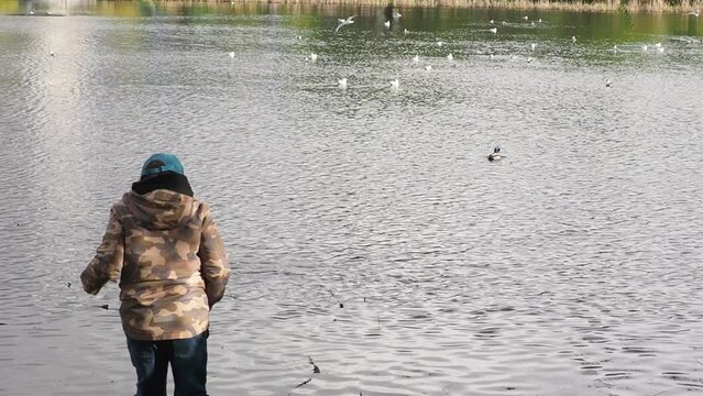 Child boy feed the wild ducks and shoal of small fish in azure clean transparent lake. Brother boys are best friends. Summer holiday friendship concept.