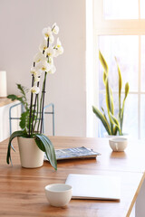 Beautiful orchid flower, cup and laptop on dining table in light kitchen