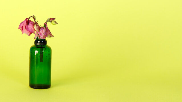 Pink flower in green bottle on bright yellow background. Minimalist composition.