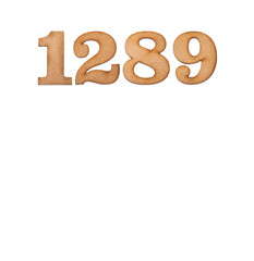 Number 1289 - Piece of wood isolated on white background