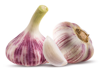 Garlics isolated on white background