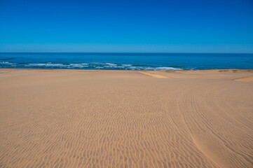 Fototapeta na wymiar Skeleton Coast - Namib desert -Namibia