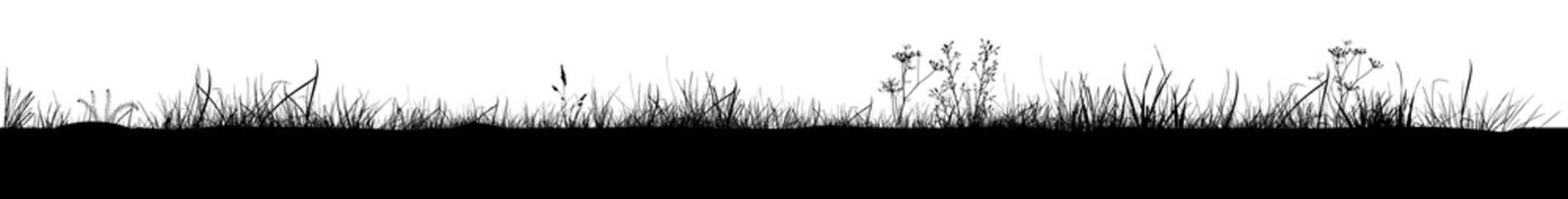 Grass black silhouettes. Vector illustration