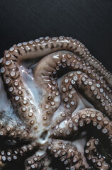 Octopus on a black cutting board. Tentacles with suction cups. Fresh Seafood and Cooking. Close-up, selective focus