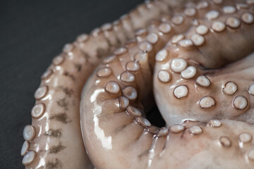 Octopus on a black cutting board. Tentacles with suction cups. Fresh Seafood and Cooking. Close-up, selective focus