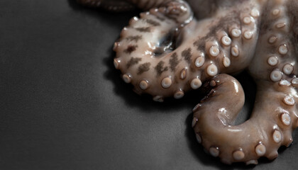 Octopus on a black cutting board. Tentacles with suction cups. Fresh Seafood and Cooking. Close-up, selective focus