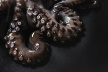 Octopus on a black cutting board. Tentacles with suction cups. Fresh Seafood and Cooking. Close-up, selective focus