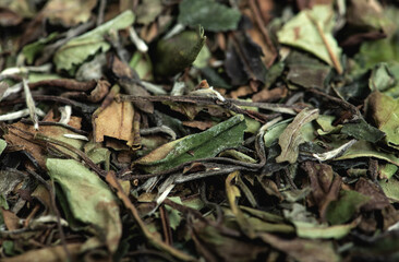 Chinese green leaf tea. Dried tea leaves background, top view